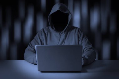 Bilgisayar korsanı veri--dan laptop çaldı. 