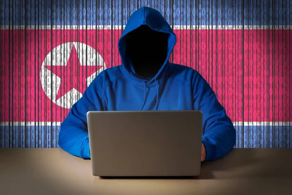 Dijital Kuzey Kore bayrağı arka plan üzerinde bir dizüstü bilgisayar önünde oturup hacker.