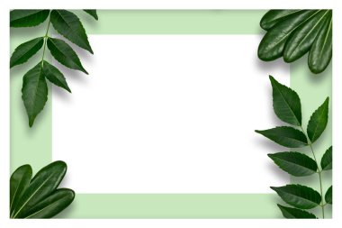 Yaprak kağıt kartı Not ile yapılmış yaratıcı düzeni. 