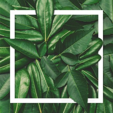 Kağıt kartla çiçek ve yapraklardan oluşan yaratıcı bir düzen.