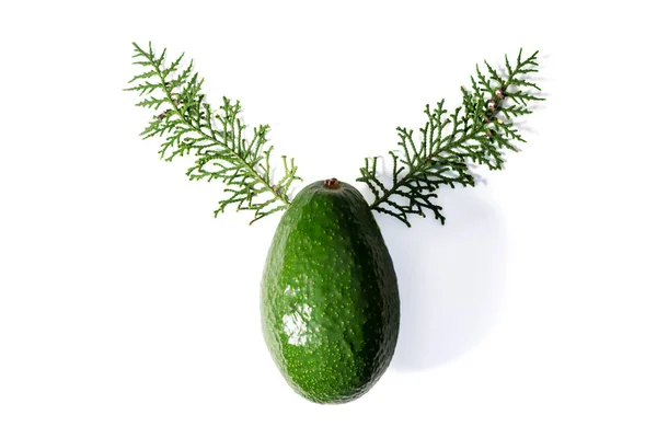 Reindeer face made of avocado and pine branches. — Stock Photo, Image