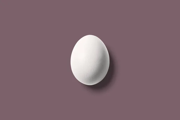 White egg on bright brown background. Minimal concept. — Stock Photo, Image