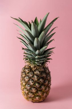Pembe arka planda ananas.
