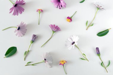 Renkli çiçek ve yaprakları yapılmış yaratıcı bahar düzeni 