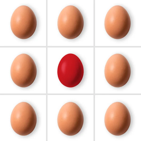 흰색 바탕에 빨간 계란 계란의 그룹 — 스톡 사진