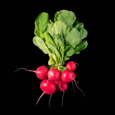 Siyah arkaplanda taze turplar.