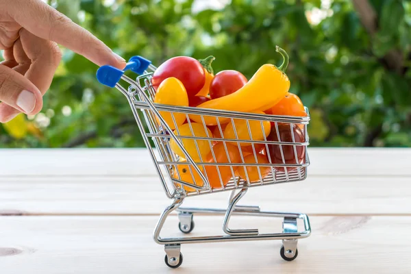 Shopping cart with fresh vegetables close-up. — Stock Photo, Image