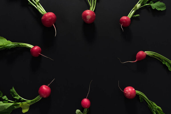 Fresh radishes on black background. Flat lay.