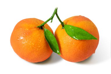 Olgun mandalina yeşil yaprakları ile narenciye 