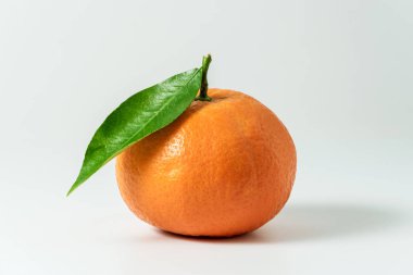 Mandarine veya clementine yeşil yaprak 