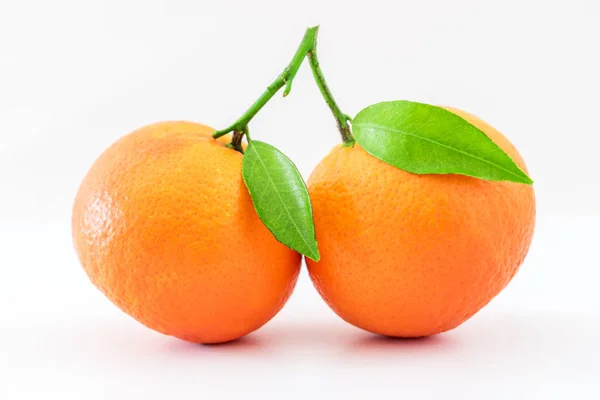 Érett mandarin-citrus, zöld levelekkel — Stock Fotó