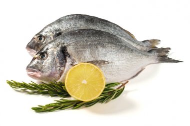 Çiğ taze limon ve biberiye dorado balık. Sağlıklı gıda.