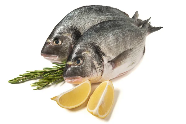Roher frischer Dorado-Fisch mit Zitrone und Rosmarin. gesunde Ernährung. — Stockfoto