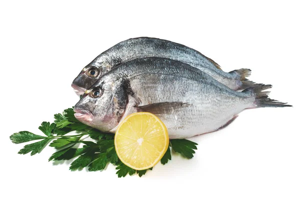 Dorado di pesce fresco crudo con limone e prezzemolo. Cibo sano . — Foto Stock