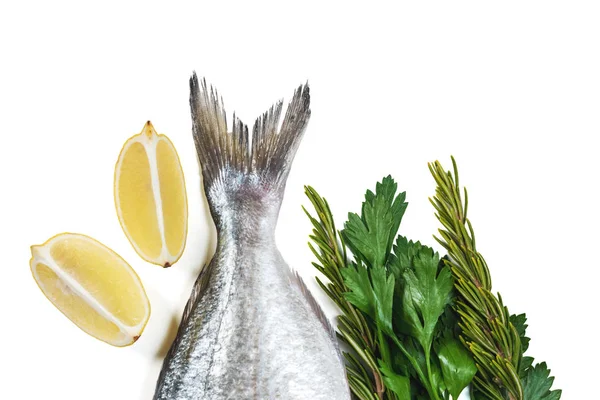 Farok friss nyers Dorado vagy tengeri keszeg fish gyógynövények és citrom — Stock Fotó