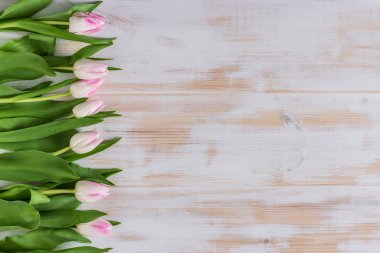 Ahşap arka plan bahar lale çiçekleri. Düz yatıyordu. Aşk kavramı