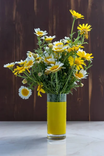 Kwiaty białe i żółte stokrotki w jasnym świetle słońca. — Zdjęcie stockowe