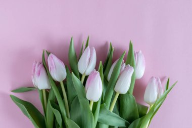 Creative layout of tulips on pink background. Flat lay. clipart