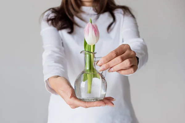 Весной розовый тюльпан в маленькой вазе в руках женщины . — стоковое фото