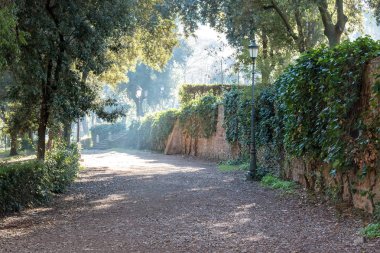Roma villa Borghese Park'ta. İtalya.