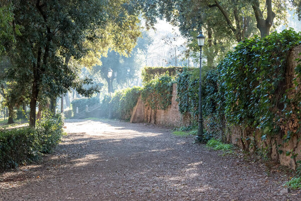 Park in Rome near villa Borghese. Italy.