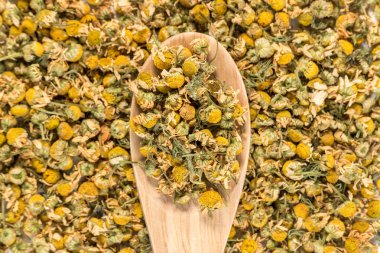 Bir kaşık kuru papatya çayı.