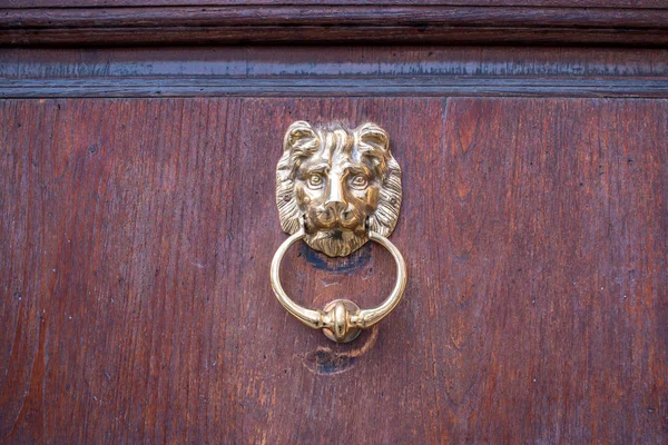 Lion head door knocker on  wooden background