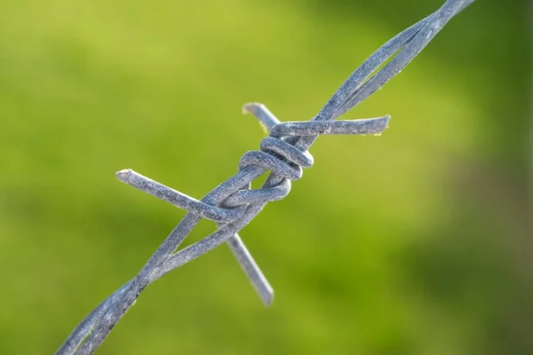 Detalhe do arame farpado no fundo embaçado verde — Fotografia de Stock