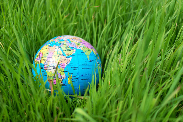 Small globe in the grass. Travel and global issues concept.