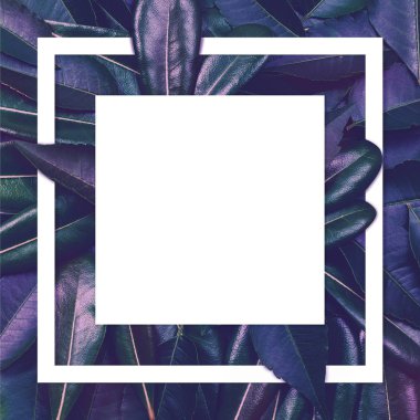 Mor yaprak kağıt kartı Not ile yapılmış yaratıcı düzeni.