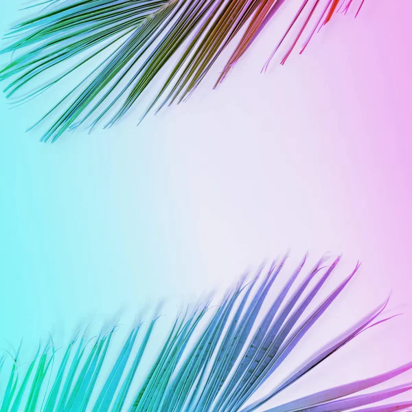 Tropical palm odjíždí v přechodu zářivých neonových barvách. — Stock fotografie