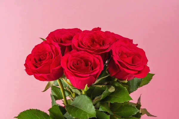 Vörös Rózsa Csokor Rózsaszín Háttérrel Üdvözlőlap Valentin Napra Nők Napjára — Stock Fotó