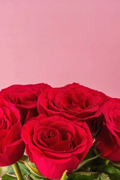 Buquê Rosas Vermelhas Fundo Rosa Cartão Felicitações Para Dia Dos — Fotografia de Stock