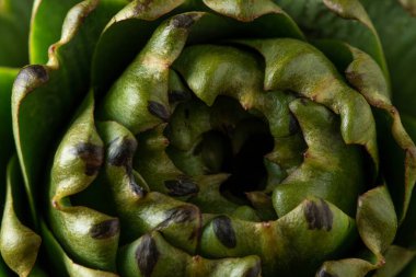 Olgun organik enginarın yakın çekimi. Sebze arka planı.