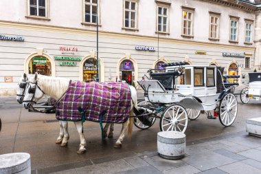 Viyana, Avusturya - 16 Ocak 2020: Avusturya 'nın başkenti Viyana' da turist için sulayan atlı at arabası.