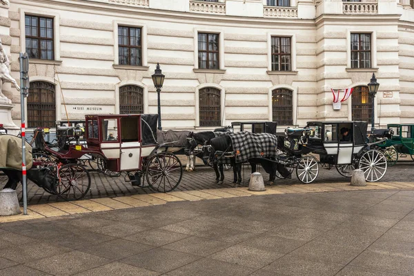 Viena Áustria Janeiro 2020 Transporte Com Cavalos Wating Para Turista — Fotografia de Stock