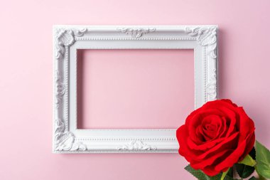 Çiçeklerle ve pembe arka planda beyaz çerçeveyle yapılmış yaratıcı bir düzen. Bahar minimum konsepti.