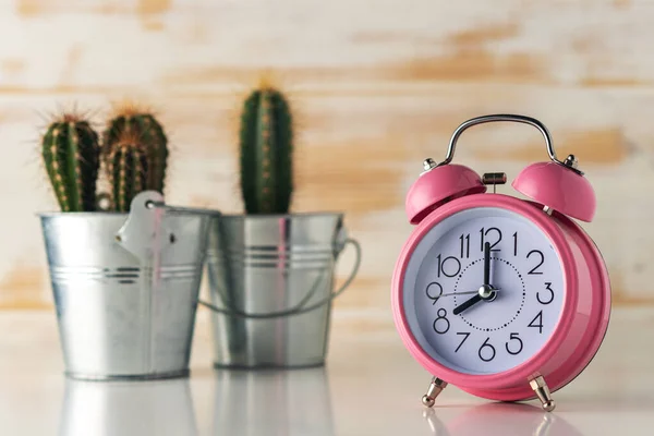 Sveglia Rosa Con Cactus Vaso Sulla Scrivania Legno Concetto Tempo — Foto Stock