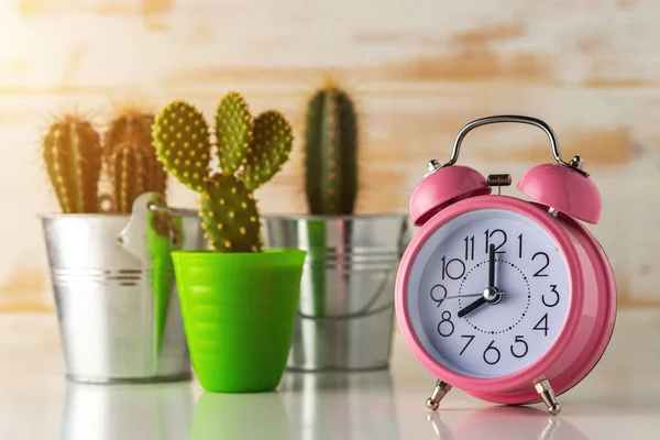 Sveglia Rosa Con Cactus Vaso Sulla Scrivania Legno Concetto Tempo — Foto Stock