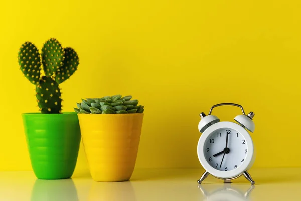 Sveglia Bianca Con Cactus Vaso Sulla Scrivania Legno Concetto Tempo — Foto Stock