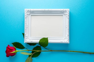 Mavi arka planda beyaz çerçeveli kırmızı gül. Sevgililer Günü için tebrik kartı, Kadınlar Günü. Asgari tatil kavramı.