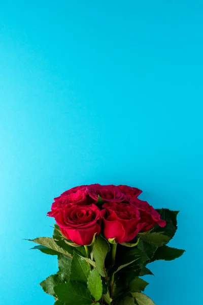 Red Roses Blue Background Greeting Card Valentines Day Womens Day — Stock Photo, Image