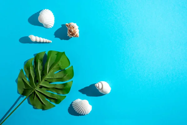 Composizione Creativa Con Conchiglie Foglia Palma Tropicale Sfondo Blu Pastello — Foto Stock