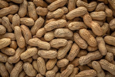 Kabuklu fıstık gibi. Yemek arkaplanı. Üst görünüm.