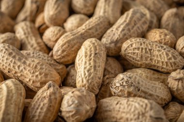 Kabuklu fıstığın yakın plan görüntüsü. Yemek arkaplanı. Üst görünüm.