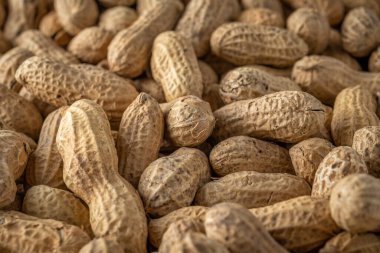 Kabuklu fıstığın yakın plan görüntüsü. Yemek arkaplanı. Üst görünüm.