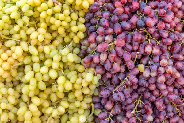 Естественный Фон Разных Сортов Винограда Продукты Питания — стоковое фото