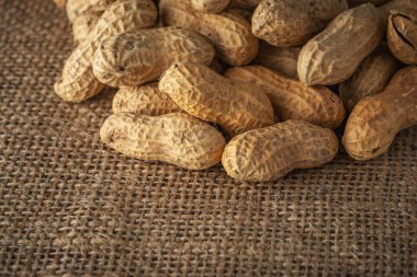 Çuvaldaki fıstığın yakın plan görüntüsü. Gıda arkaplanı. 