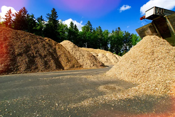 Składowanie paliwa drzewnego (biomasy) przed błękitnym niebem — Zdjęcie stockowe