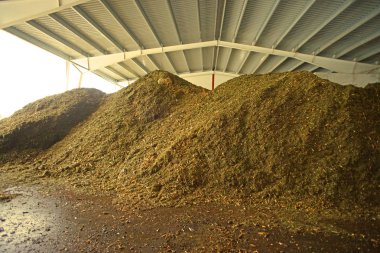 Ahşap yakıt deposu (biyokütle)